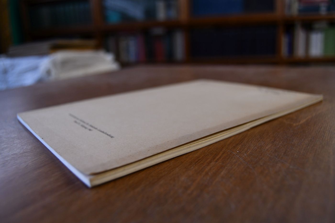 Die Heilsbronner Chorbücher der Universitätsbibliothek Erlangen (Ms. 473, 1-4). Erster Teil Die Handschriften.