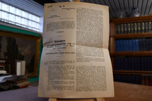 Gutachten über gewisse verfassungsmäßige Rechte...