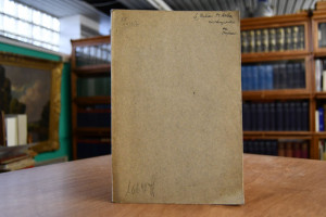 Die Don Carlos-Frage.