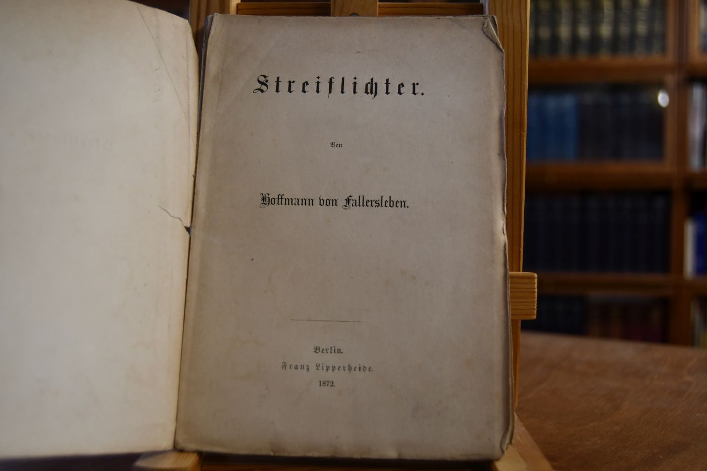 Streiflichter.