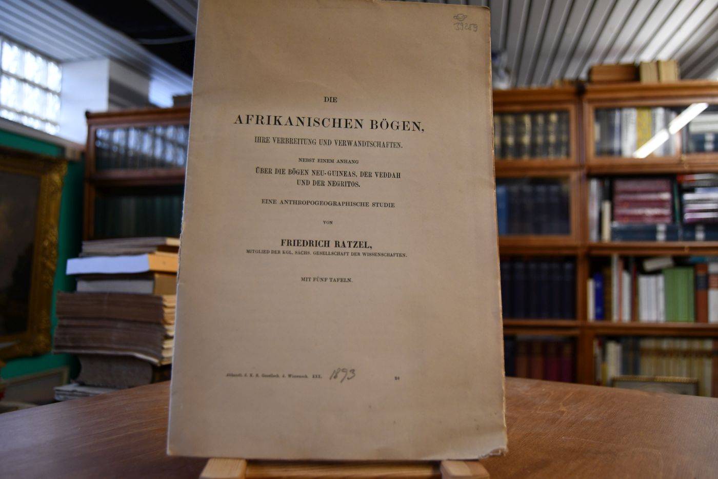 Die Afrikanischen Bögen, ihre Verbreitung und Verwandtschaften. Nebst einem Anhang über die Bögen Neu-Guineas, der Veddar und der Negritos. Eine anthropogeographische Studie.