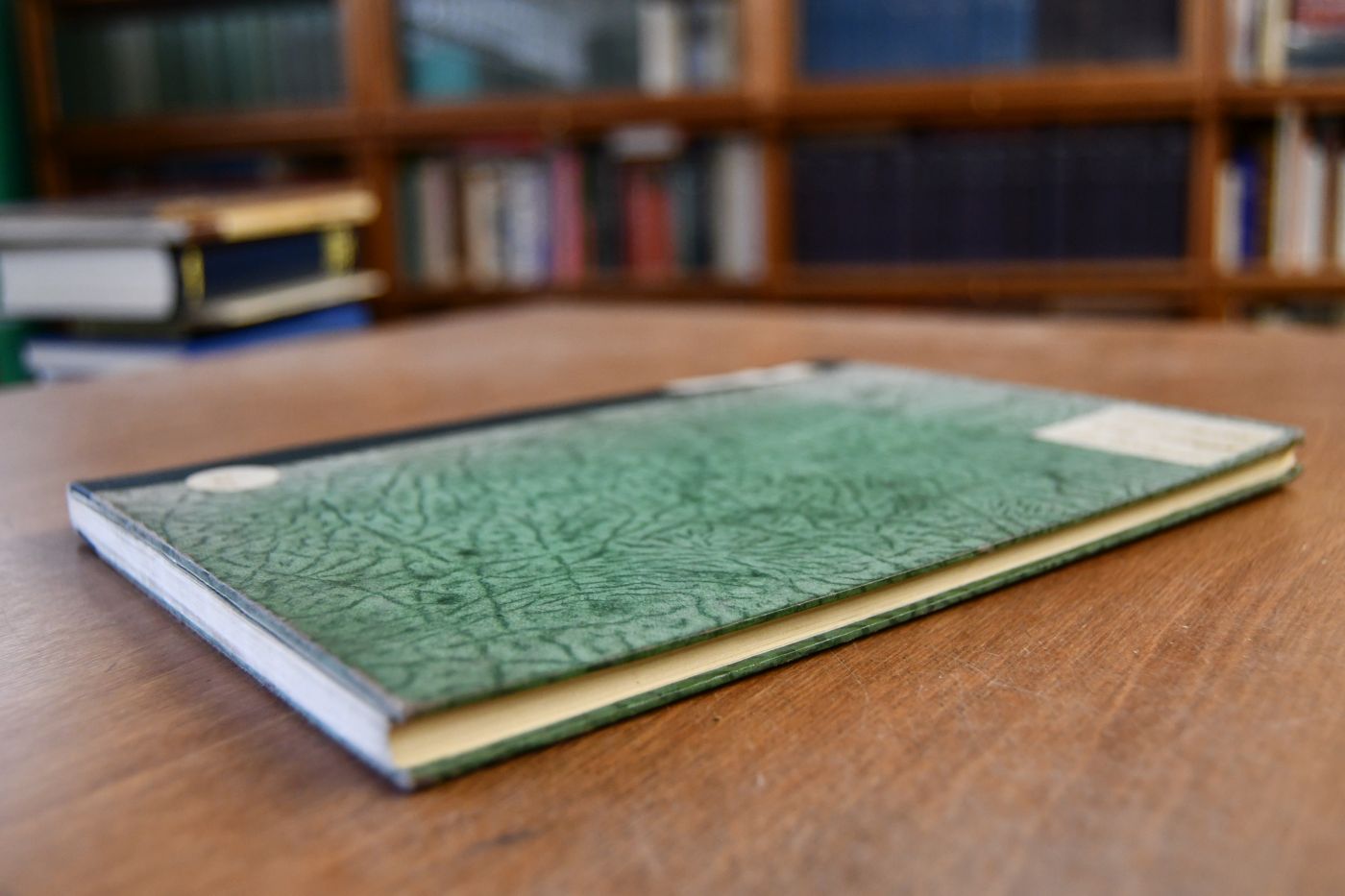 Alt-Tübingen. Ein Stadtbild von Martin Lang. Mit vierzig Federzeichnungen von Otto Ubbelohde.