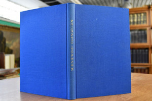 Euangelion. Ursprung und erste Gestalt des Begr...