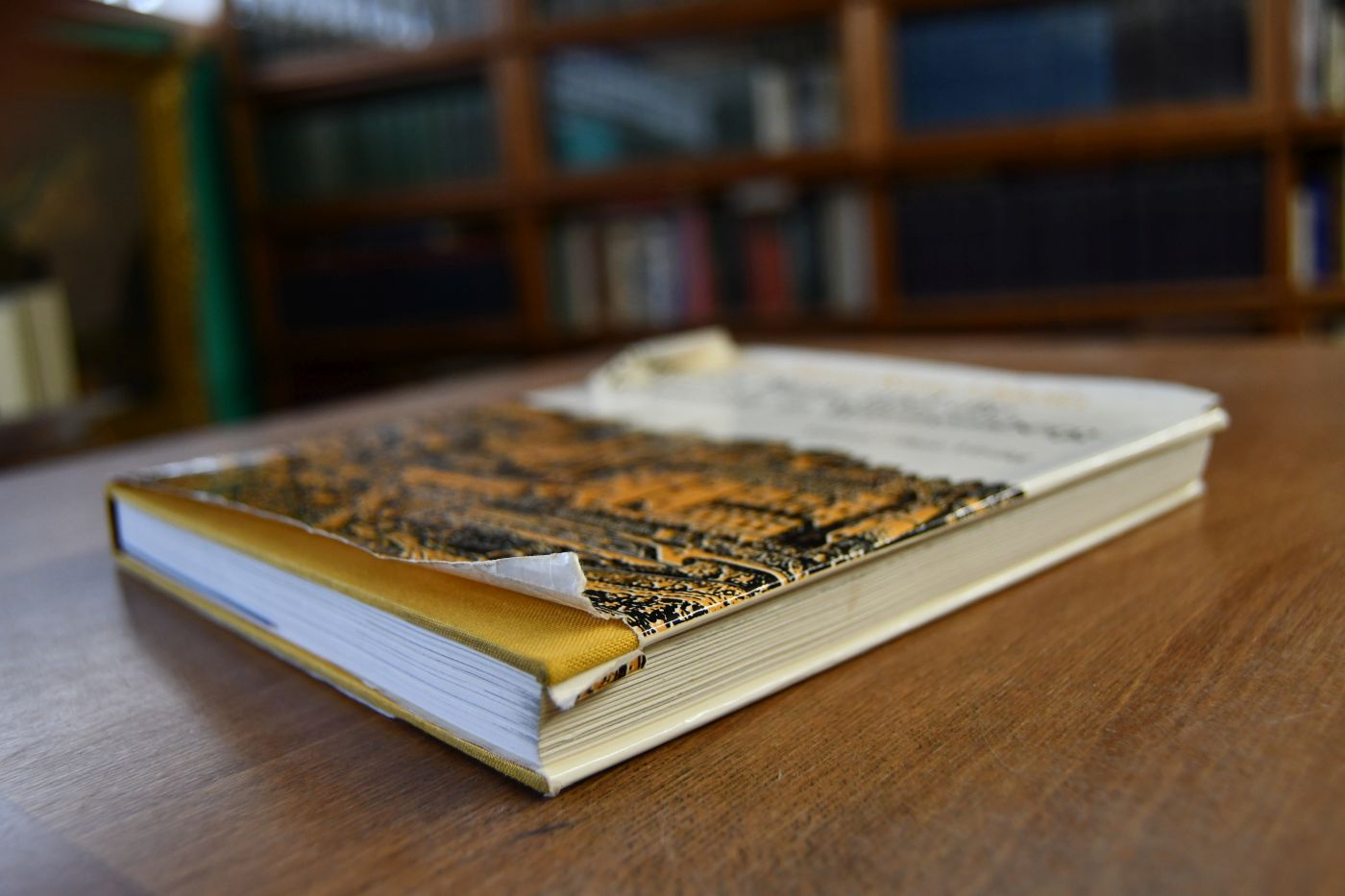 Johannes Brenz und die Reformation in Württemberg. Eine Einführung mit 112 Bilddokumenten.