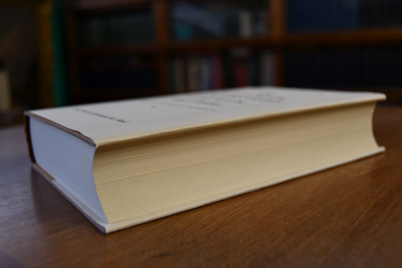 Die Verkündigung des Reiches Gottes in der Kirche Jesu Christi. BAnd VI Von der Mitte des 18. bis zur Mitte des 19. Jahrhunderts.