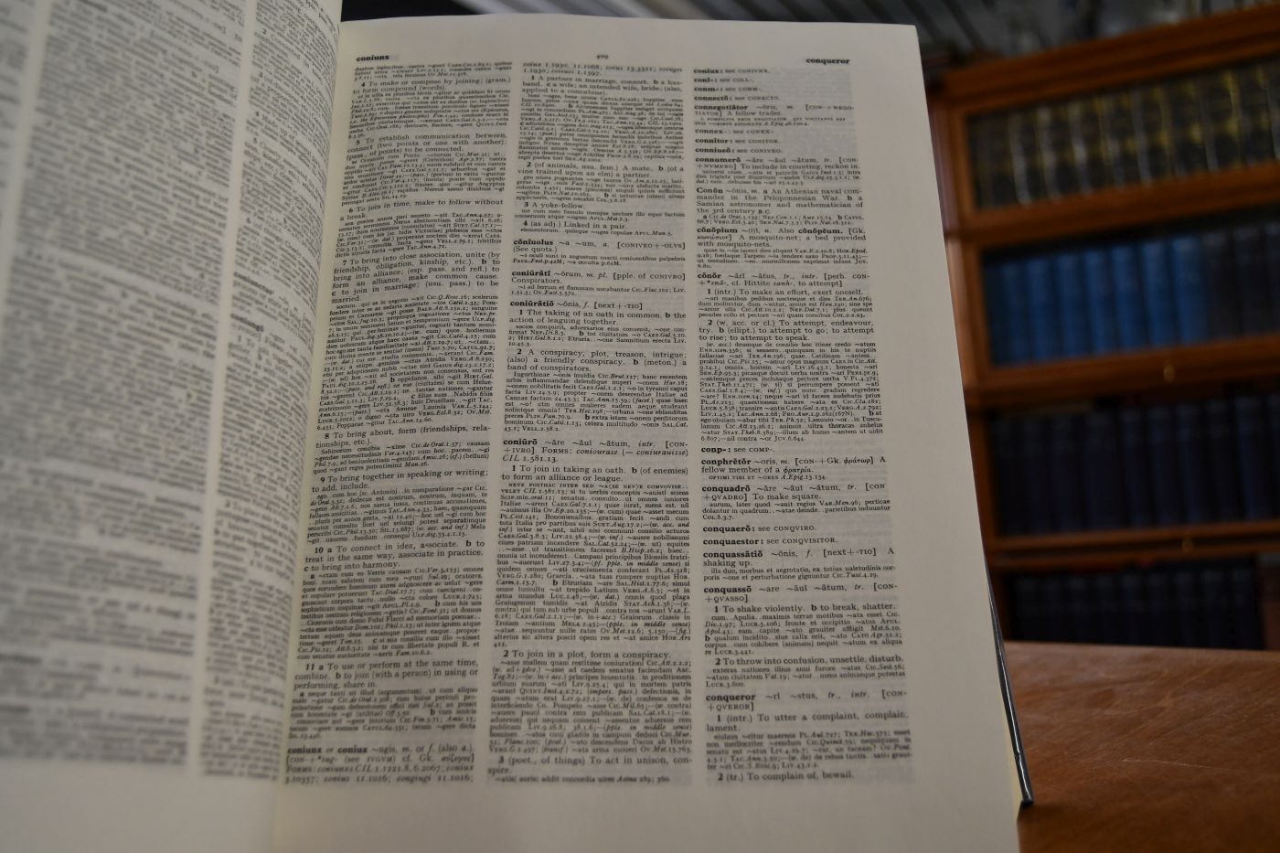 Oxford Latin Dictionary.