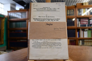 Übersicht über die deutsche Gesetzgebung auf de...