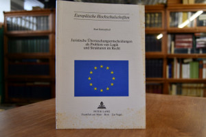 Juristische Überraschungsentscheidungen als Pro...