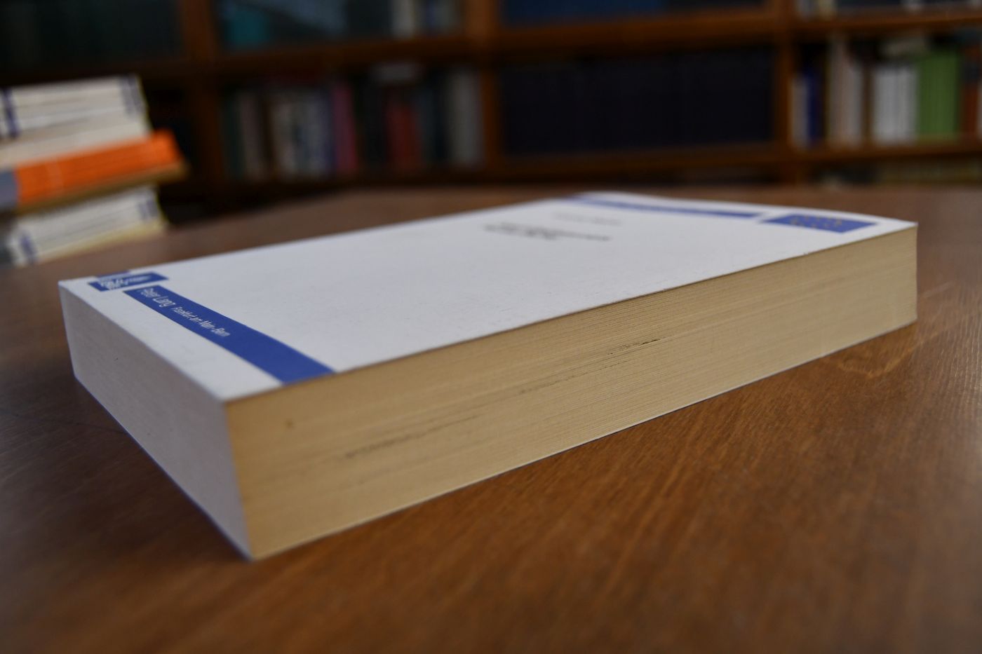 Adolf Glassbrenners Rentier Buffey. Zur Typologie des Kleinbürgers im Vormärz.