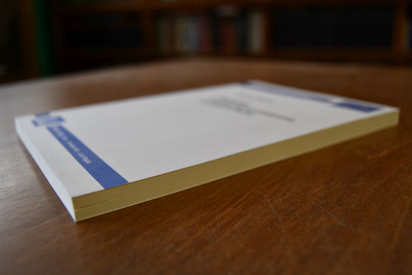 Geschichte und Geschichtsverständnis bei Edmund Burke.