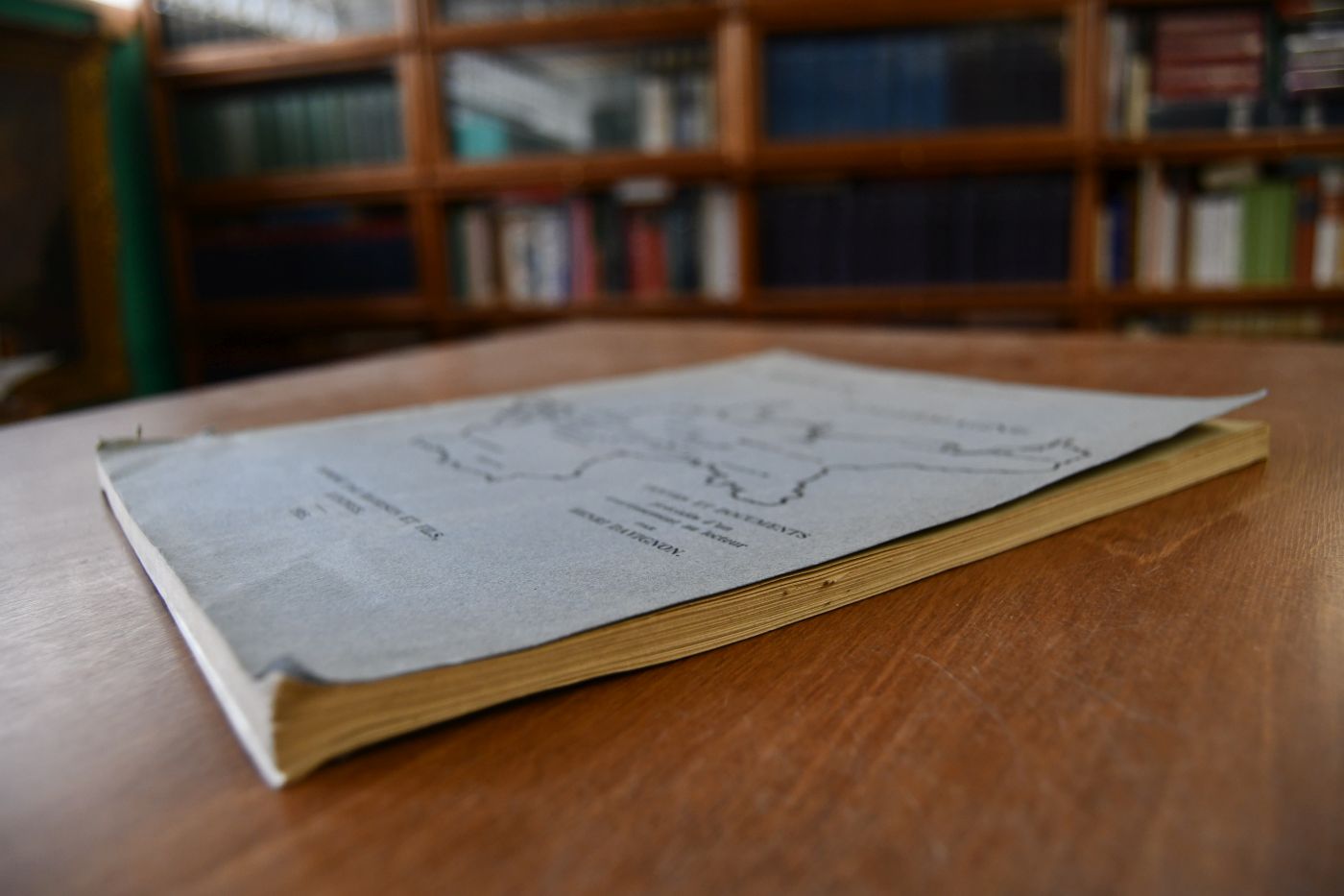 La Belgique et L`Allemagne. Textes et Documents precedes d`un avertissement au lecteur.