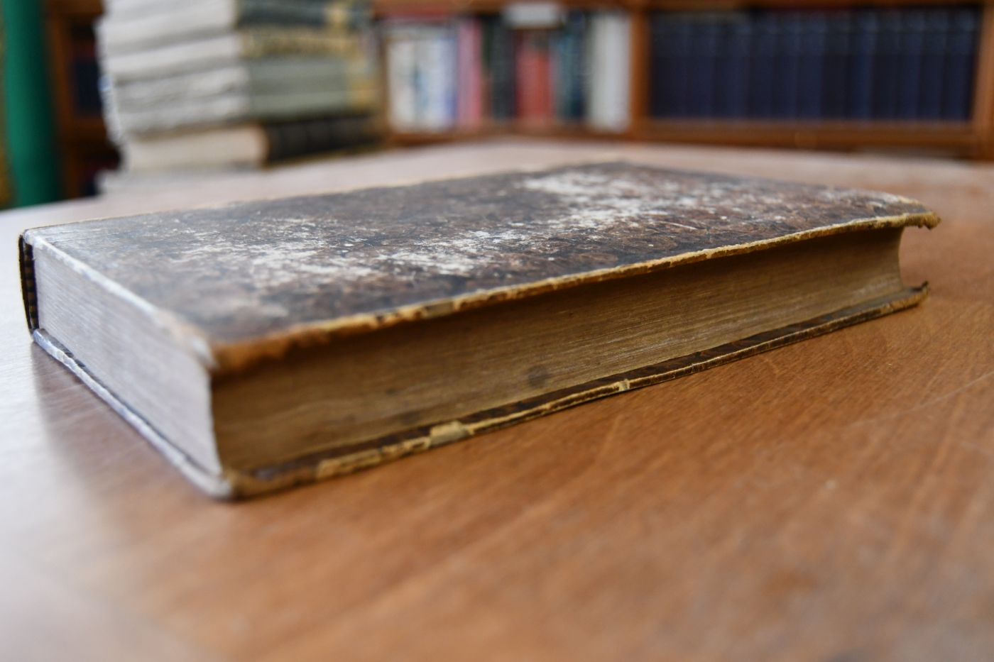 Handbuch der speziellen Pathologie und Therapie der größeren nutzbaren Haussäugethiere oder allgemein faßliche und wissenschaftliche Darstellung der Erscheinungen, Kennzeichen, Ursachen, Vorhersagungen, Heilungen und Vorbauungen ihrer inneren Krankheiten, mit vorzüglicher Berücksichtigung der Seuchen. Ein Hilfsbuch bei Vorträgen für Lehrer der praktischen Veterinairkunde, so wie zum Selbstunterricht für Staatsärzte, Polizeibeamte, Thierärzte und gebildete Oeconomen. Zweiter Band. Erste Abtheilung Krankheiten des Reproductionssystems (apart).