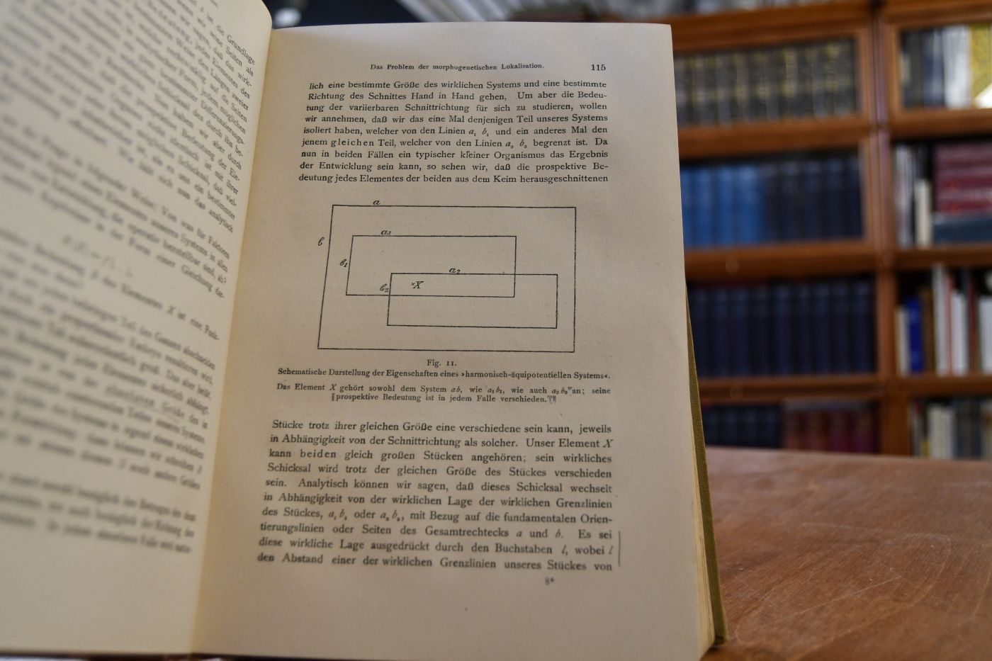 Philosophie des Organischen. Gifford-Vorlesungen gehalten an der Universität Aberdeen in den Jahren 1907-1908.