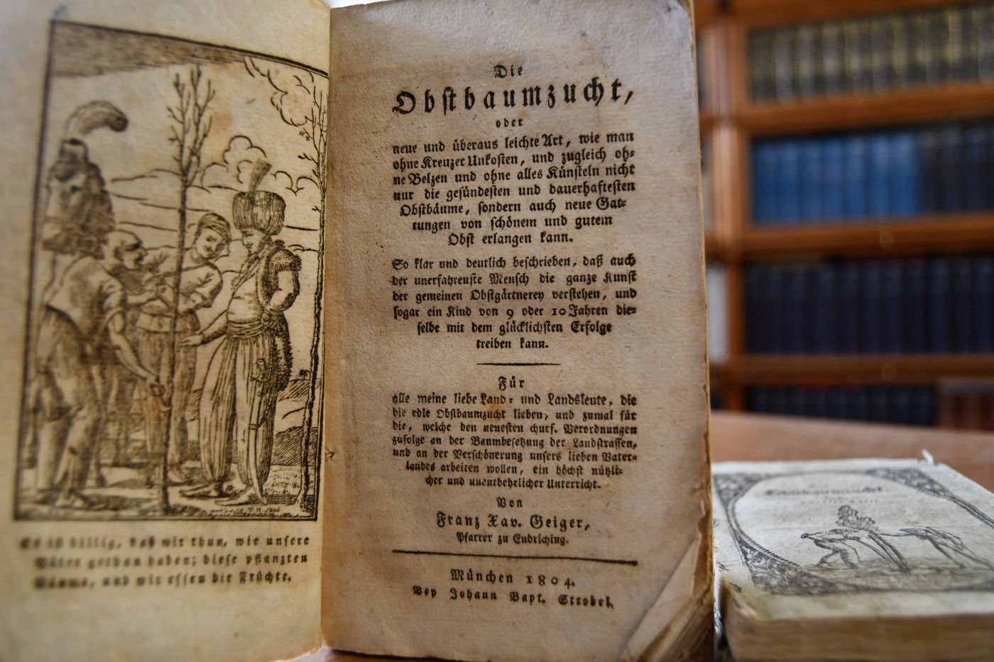 Die Obstbaumzucht, oder neue und überaus leichte Art, wie man ohne Unkosten, und zugleich ohne Belzen und ohne alles Künsteln nicht nur die gesündesten und dauerhaftesten Obstbäume, sondern auch neue Gattungen von schönen und gutem Obst erlangen kann. 1. - 3. Theil. 3 Bändchen.