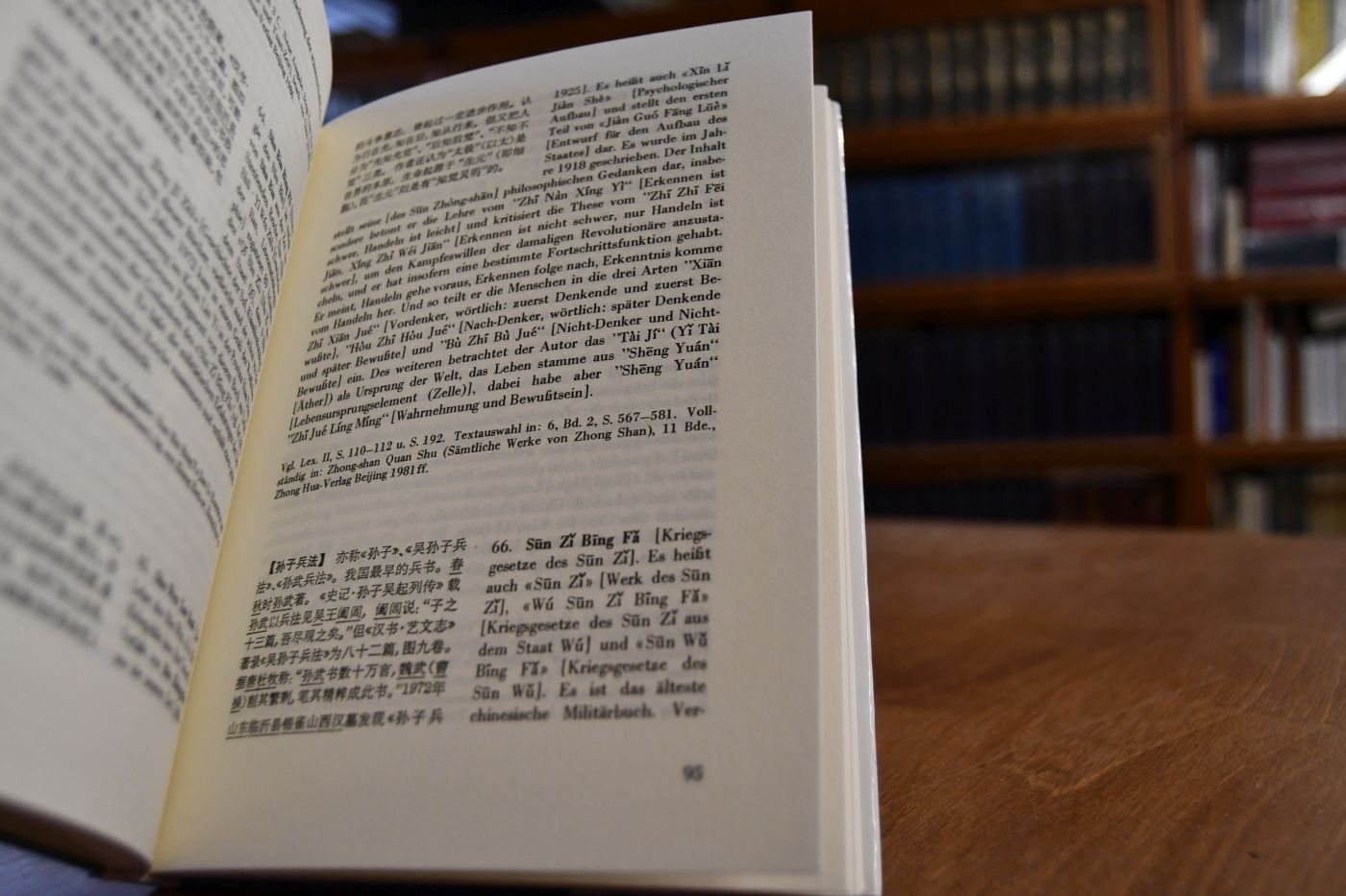 Chinesisch-deutsches Lexikon der chinesischen philosophischen Klassikerwerke.