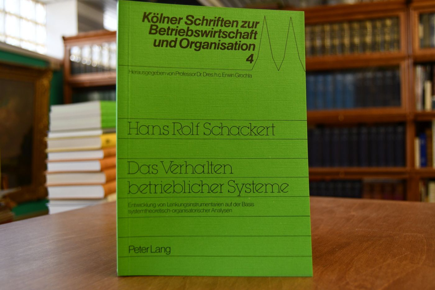 Das Verhalten betrieblicher Systeme. Entwicklung von Lenkungsinstrumentarien auf der Basis systemtheoretisch-organisatorischer Analysen.