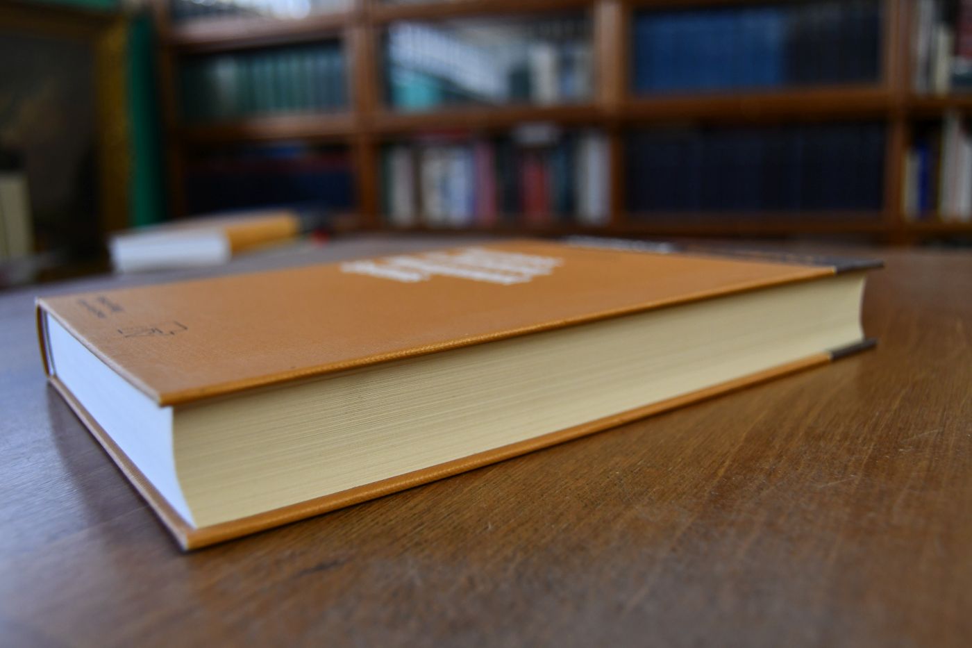 Fuzziness in database management systems.