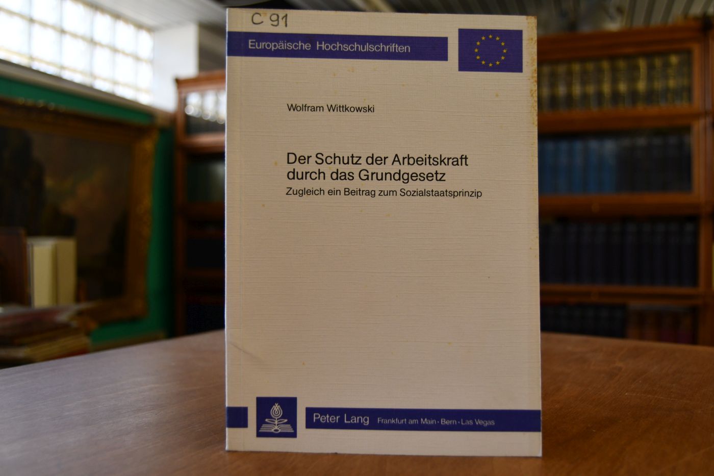 Der Schutz der Arbeitskraft durch das Grundgesetz. Zugleich ein Beitrag zum Sozialstaatsprinzip.