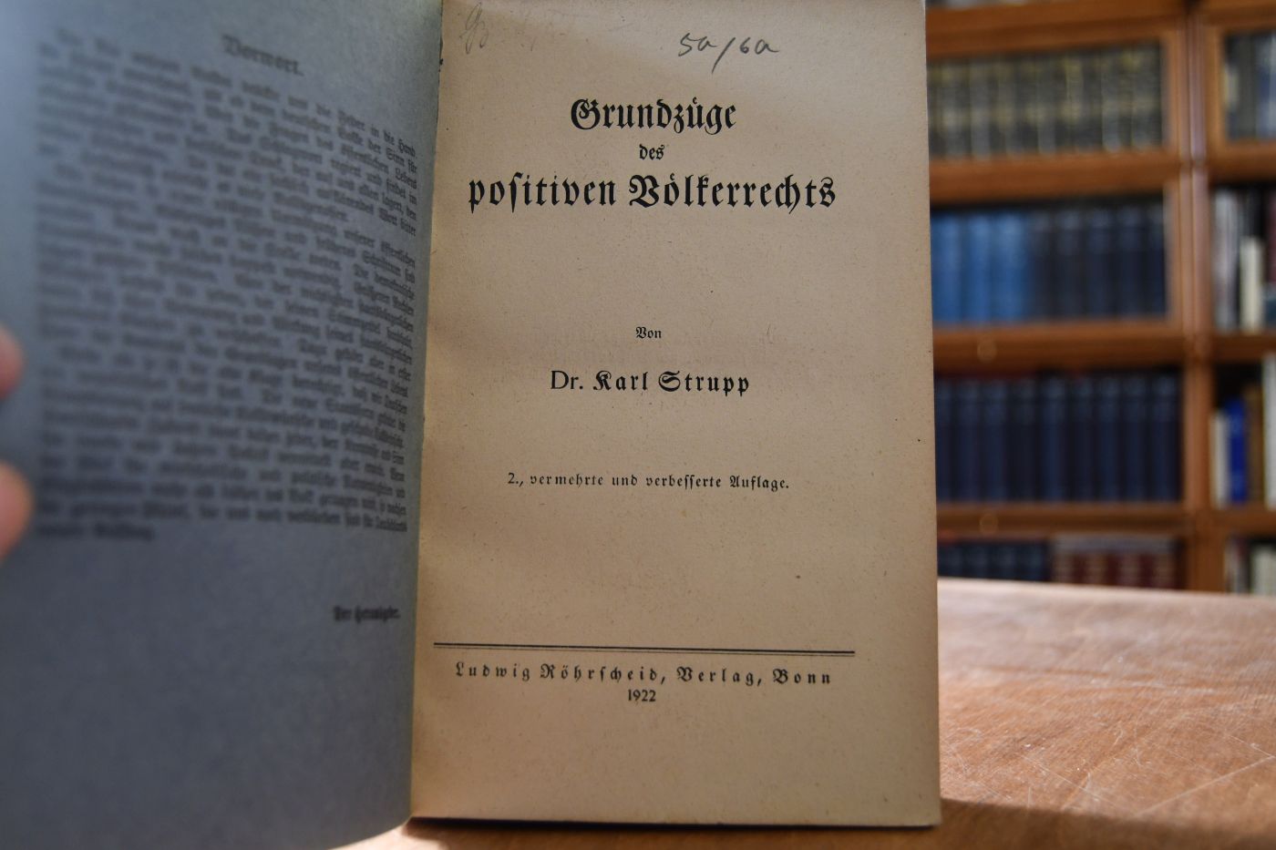 Grundzüge des positiven Völkerrechts.