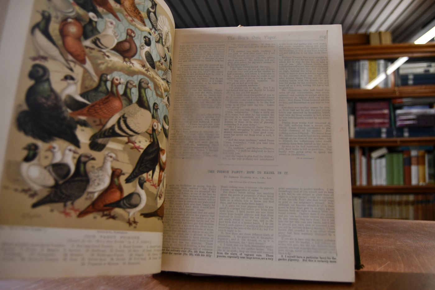 The Boy`s own annual. Vol. XIV, 1891-92.