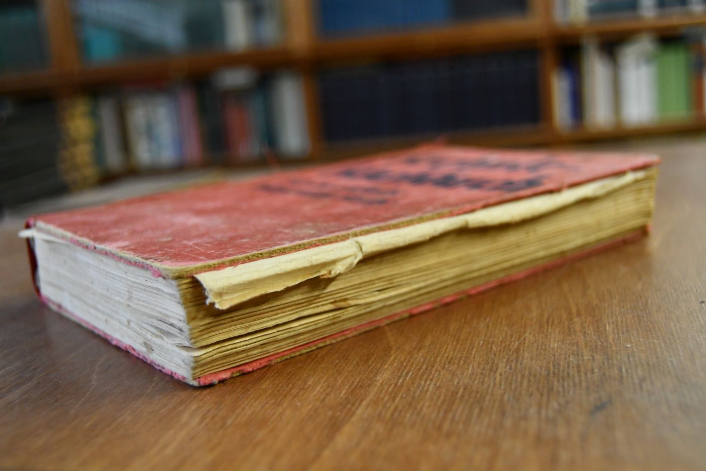 Kienle Kochbuch für die einfache bürgerliche Küche. 1163 erprobte und bewährte Original-Rezepte.