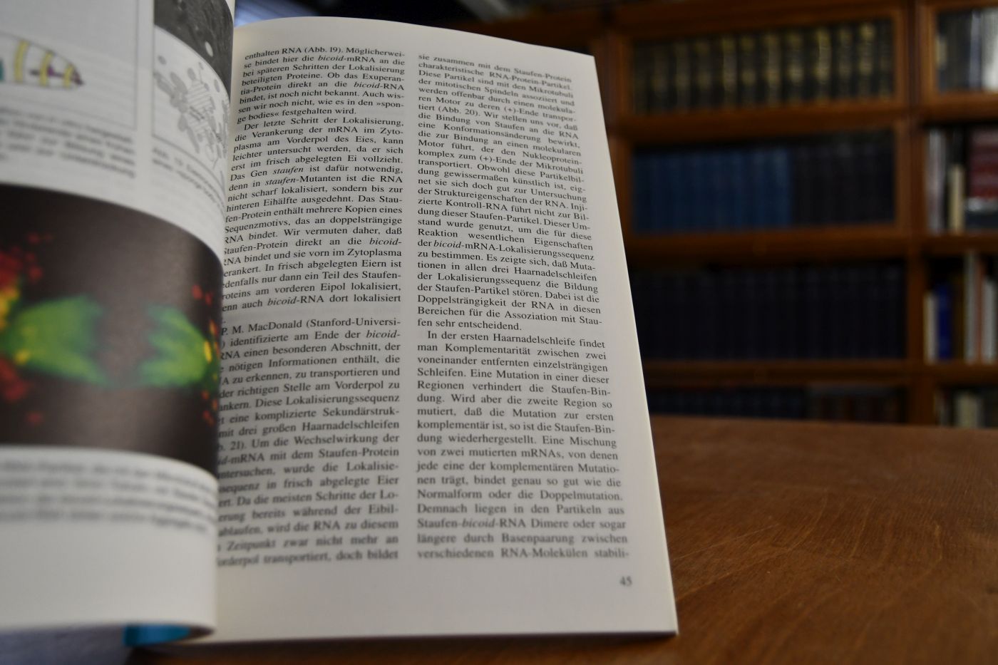 Max-Planck-Institut für Entwicklungsbiologie.