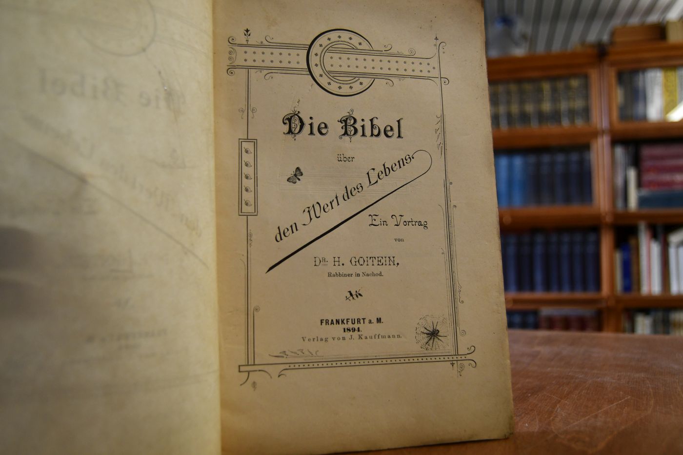 Die Bibel über den Wert des Lebens. Ein Vortrag.