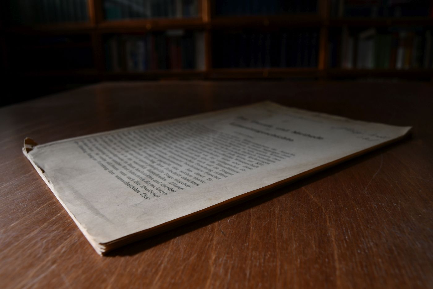 Zur Theorie und Methode der Literaturgeschichte. Wissenschaftliche Behandlung und künstlerische Betrachtung - Das Corpus Hamleticum.
