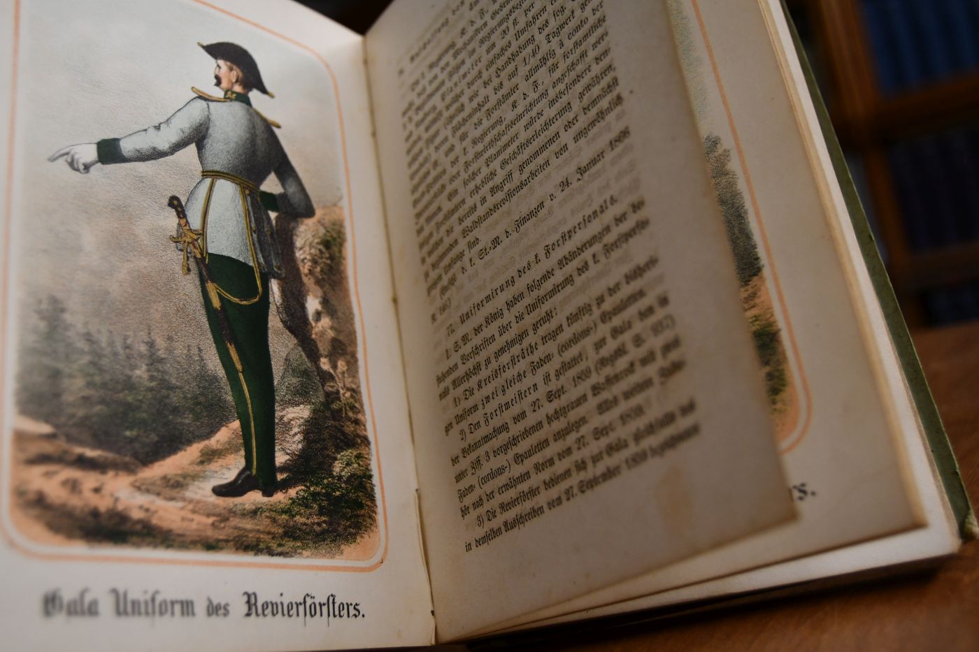 Mittheilungen über das Forst- und Jagdwesen in Bayern. 7. Heft.