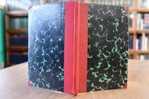 In den blauen Bergen oder die Strauchritter. Ei...