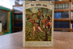 Der gelbe Jack. Eine Erzählung aus Florida.