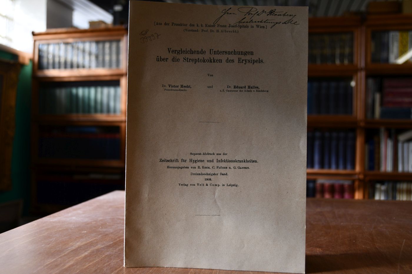 Vergleichende Untersuchungen über die Streptokokken des Erysipels.