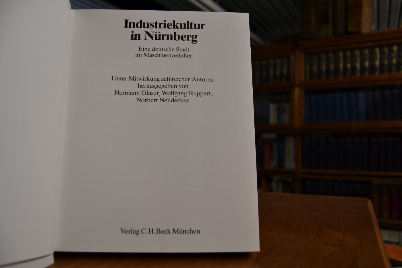 Industriekultur in Nürnberg. Eine deutsche Stadt im Maschinenzeitalter.