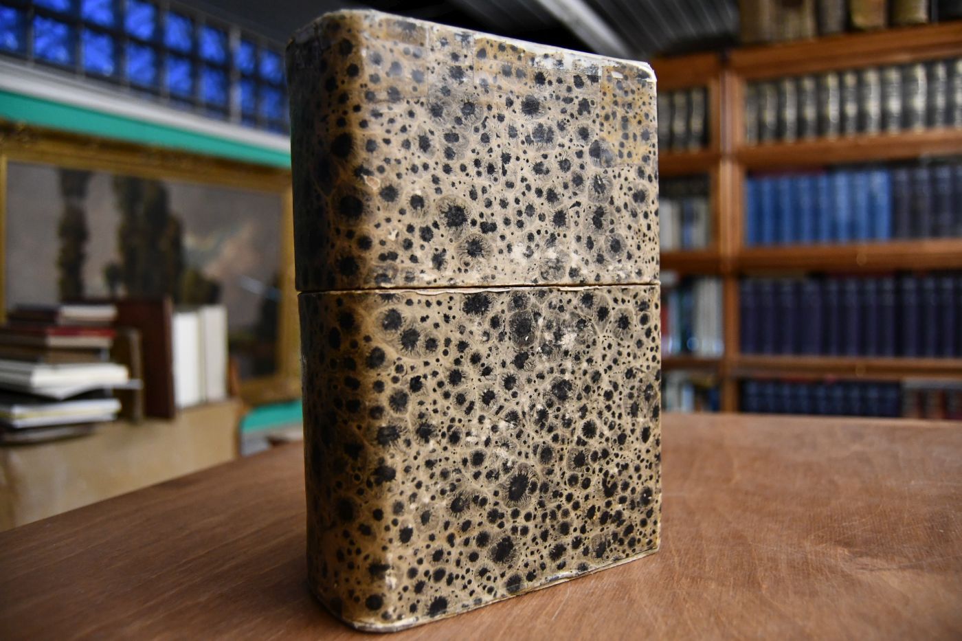 Die Bibel oder ganze heilige Schrift alten und neuen Testaments nach der Uebersetzung Martin Luthers samt dessen Vorrede über die Epistel an die Römer wie auch achzig neue Vorreden über alle und jede biblische Bücher und einer Anleitung zum heilsamen Gebrauch des Wortes Gottes.