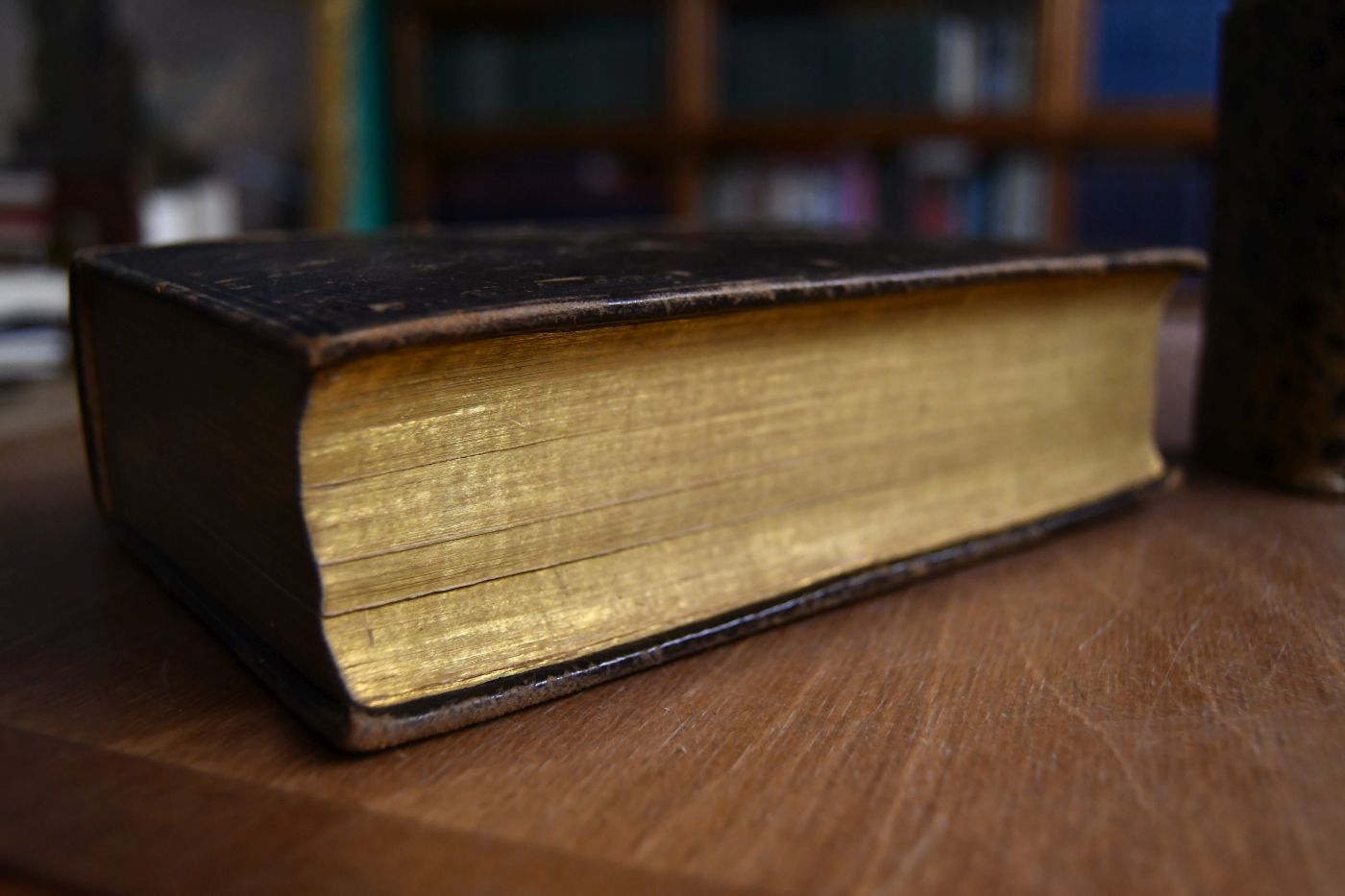 Die Bibel oder ganze heilige Schrift alten und neuen Testaments nach der Uebersetzung Martin Luthers samt dessen Vorrede über die Epistel an die Römer wie auch achzig neue Vorreden über alle und jede biblische Bücher und einer Anleitung zum heilsamen Gebrauch des Wortes Gottes.