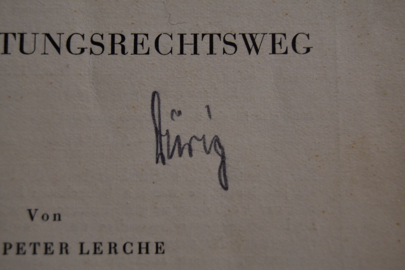 Ordentlicher Rechtsweg und Verwaltungsrechtsweg.