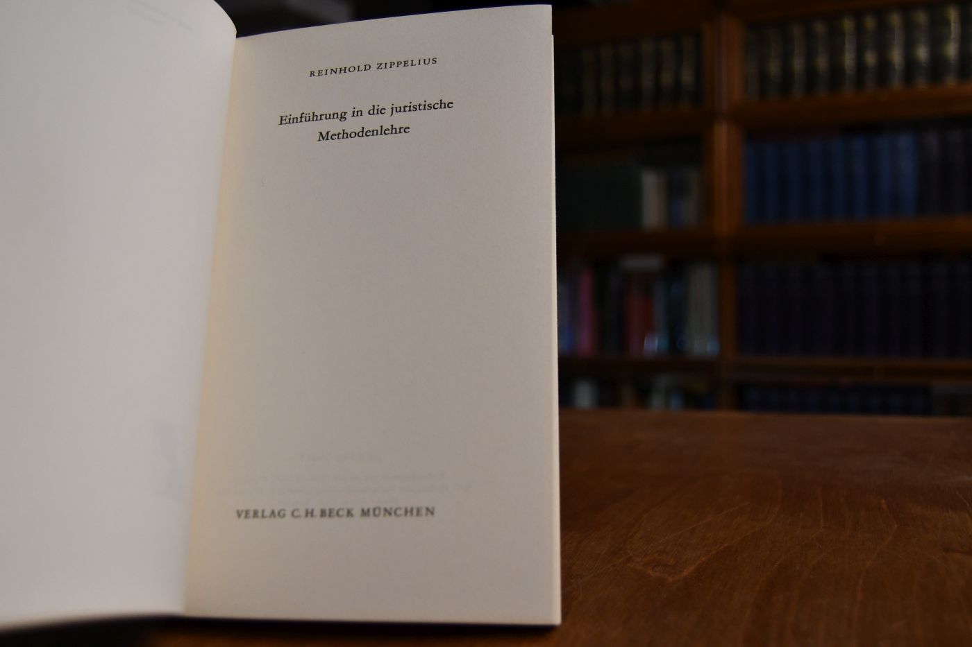 Einführung in die juristische Methodenlehre.