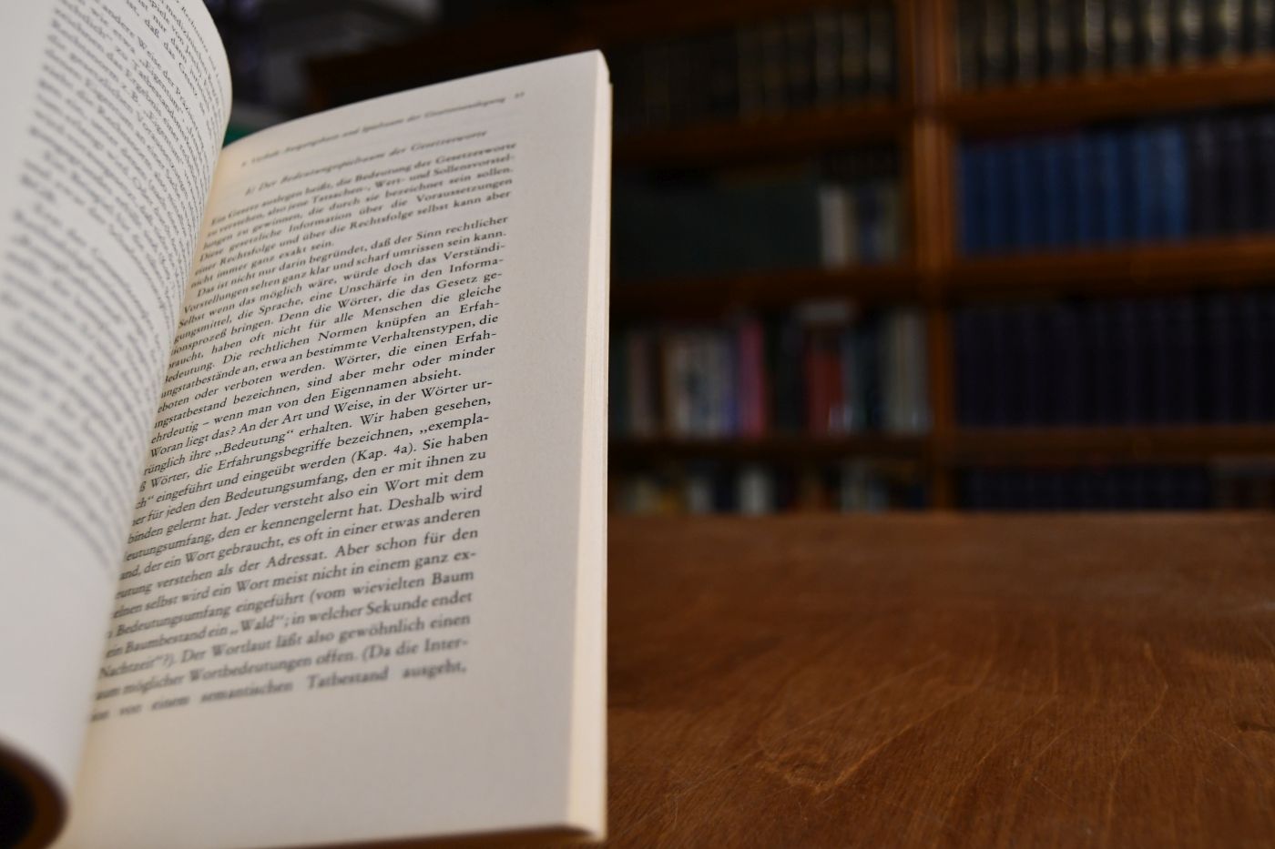 Einführung in die juristische Methodenlehre.
