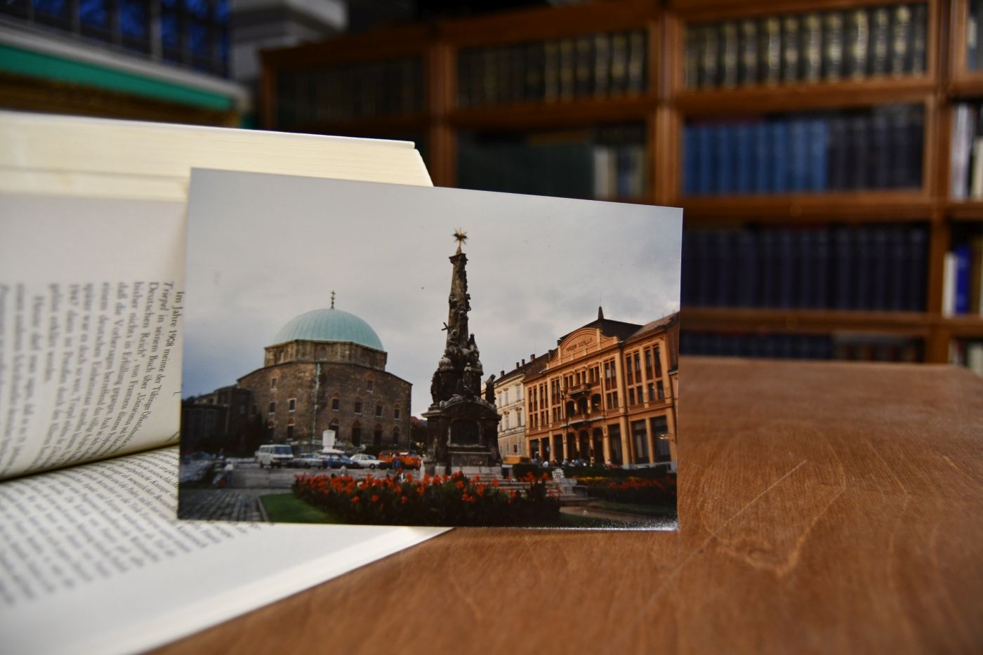 Transversale, Spurensicherungen in Mitteleuropa.