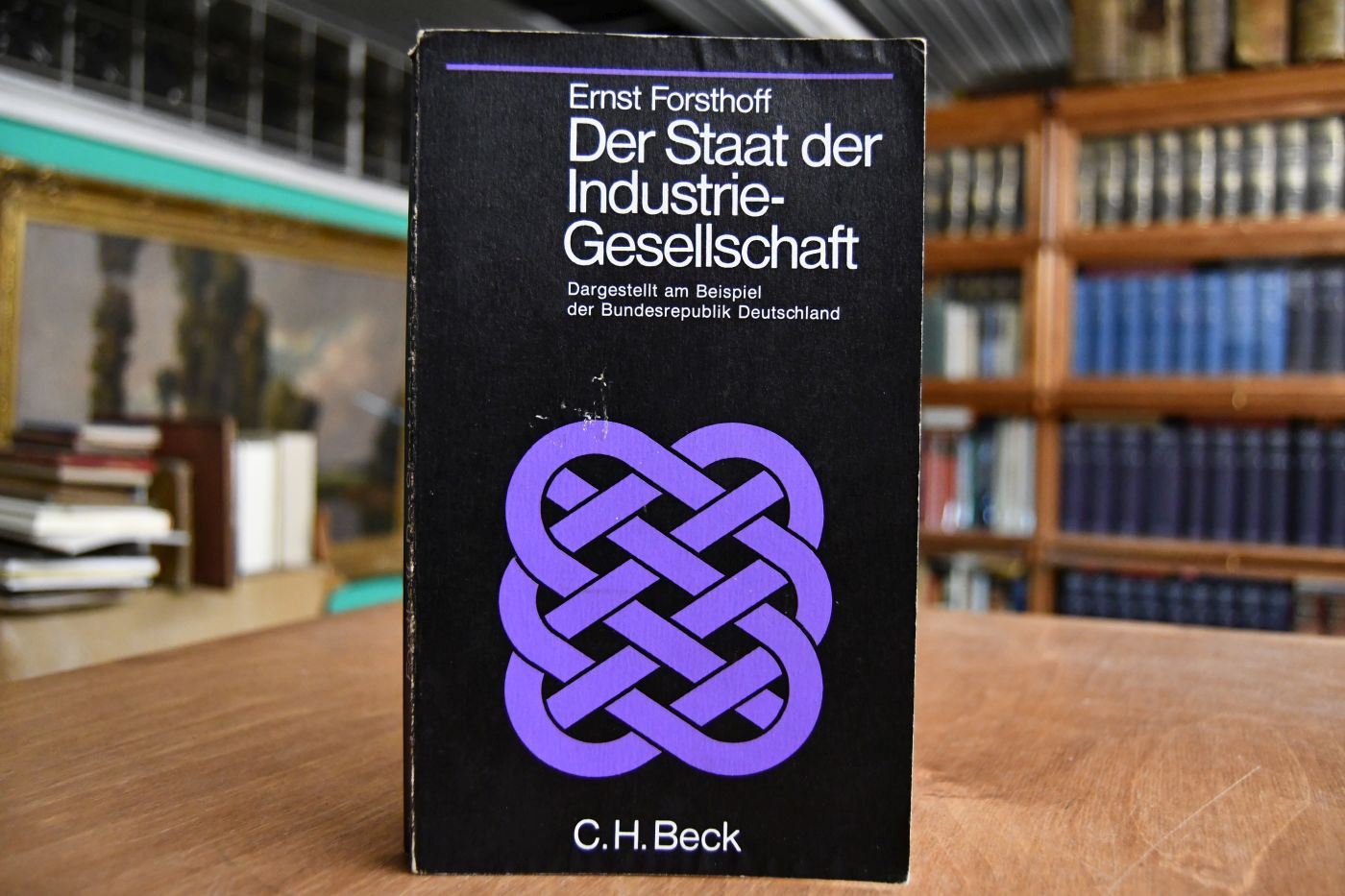 Der Staat der Industriegesellschaft. Dargestellt am Beispiel der Bundesrepublik Deutschland.
