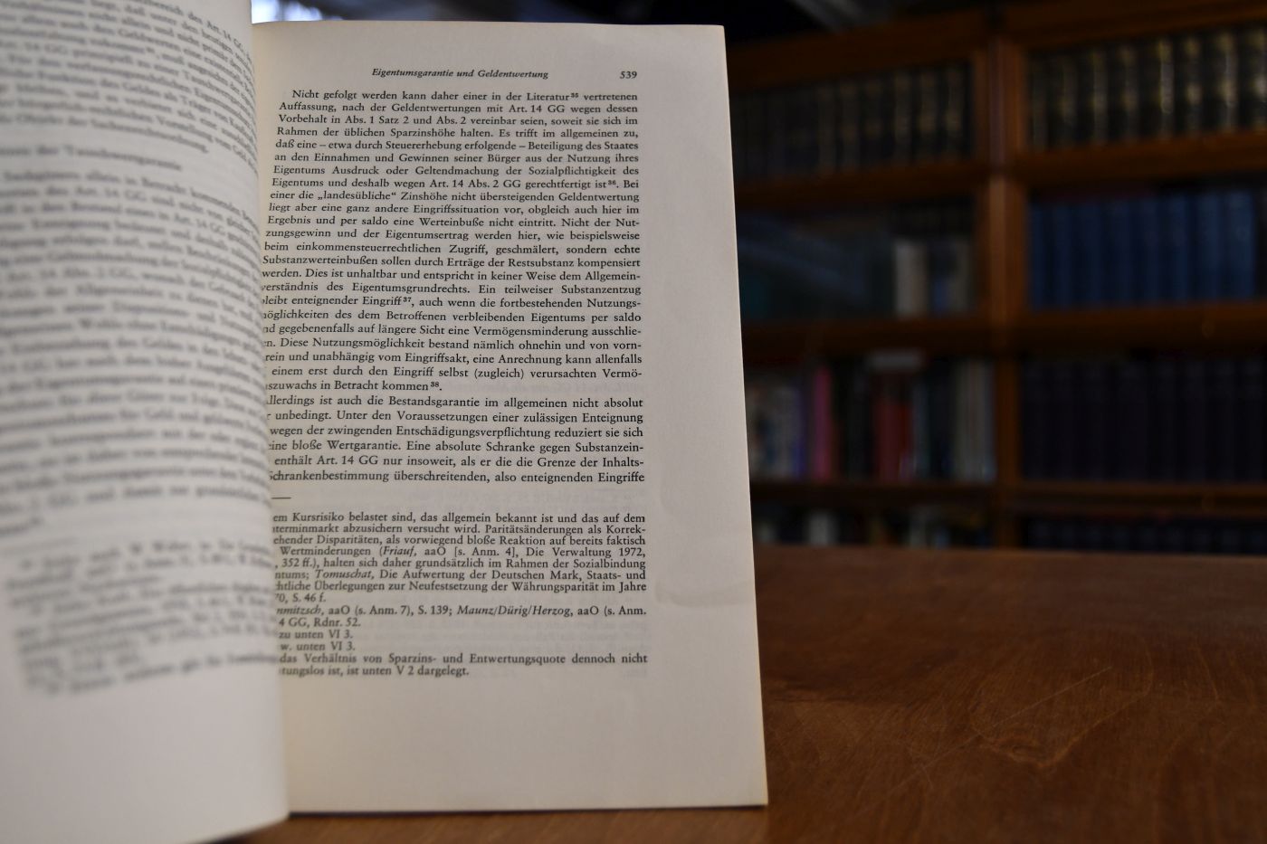 Eigentumsgarantie und Geldentwertung.