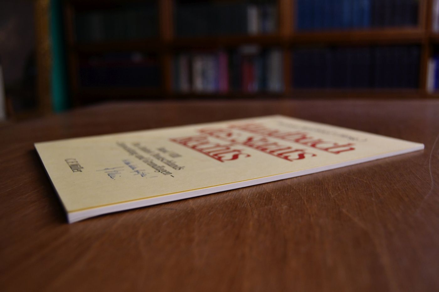Kontinuität des Grundgesetzes und seine Änderung im Zuge der Wiedervereinigung.