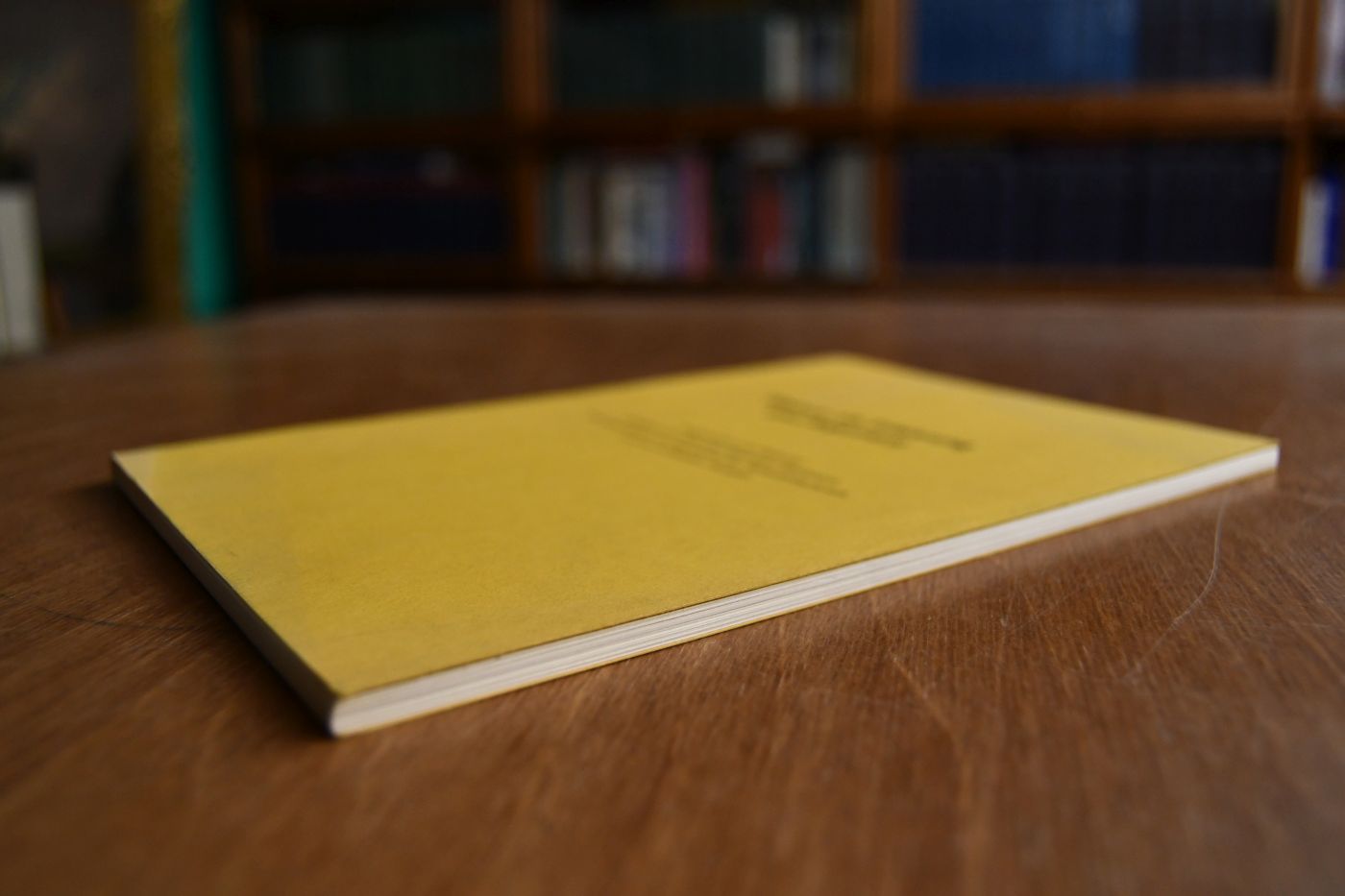 Weimar als Erfahrung und Argument.
