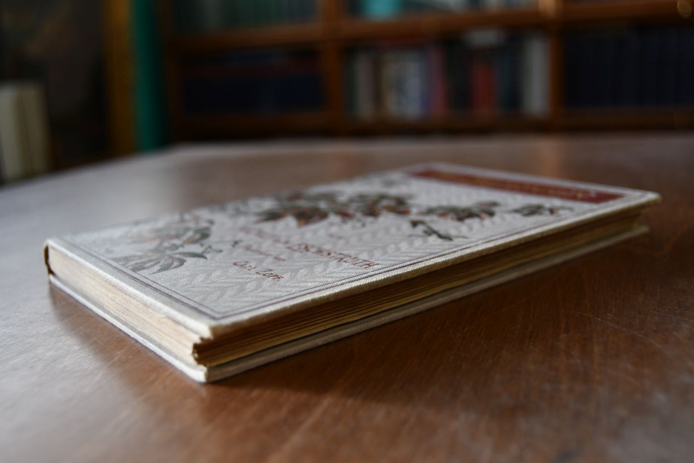 Die Erlkönigin. Roman. Mit Illustrationen von Carl Zopf.