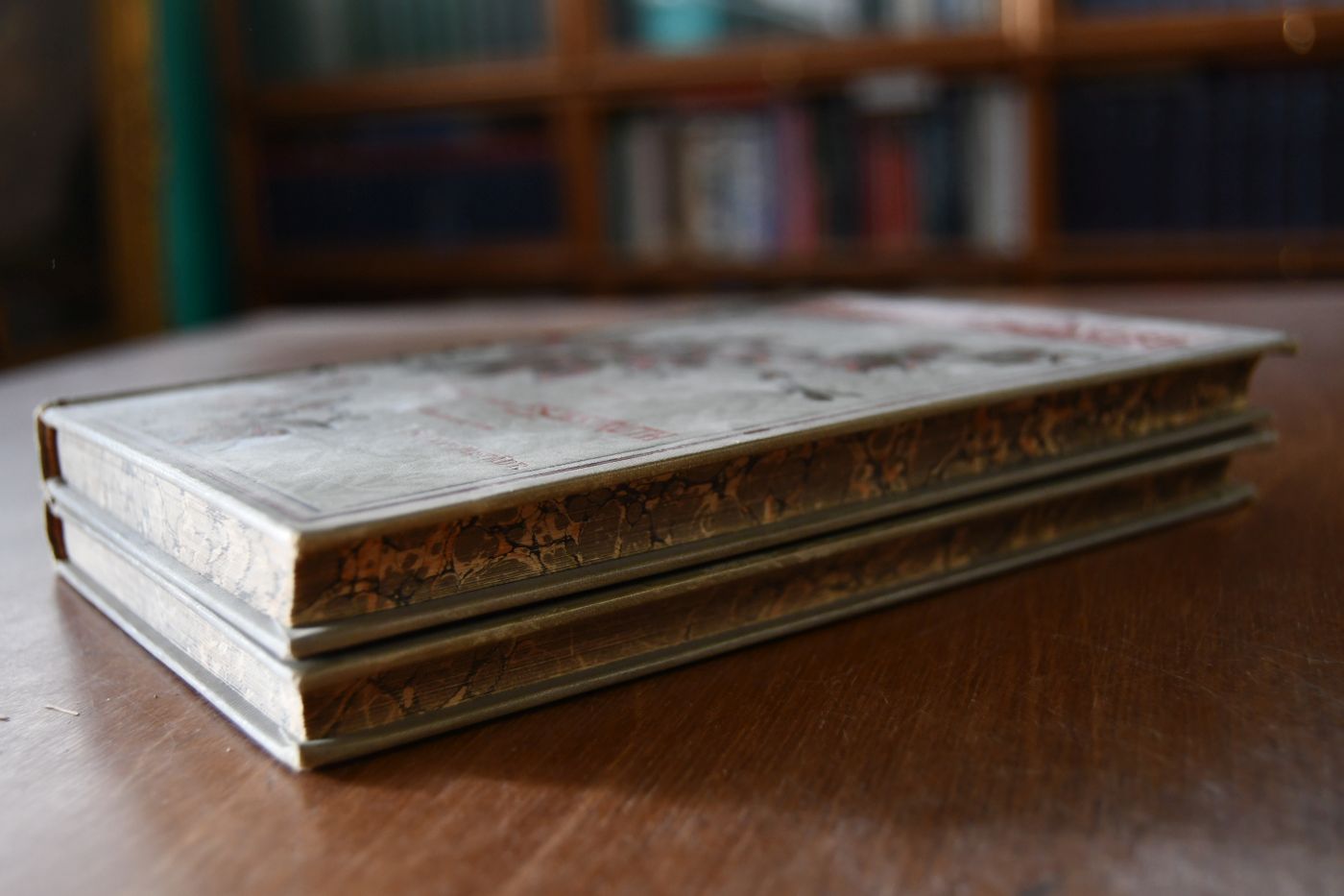Die Bären von Hohen-Esp. Roman. Mit Illustrationen von F. Schwormstädt. 2 Bde. (komplett).