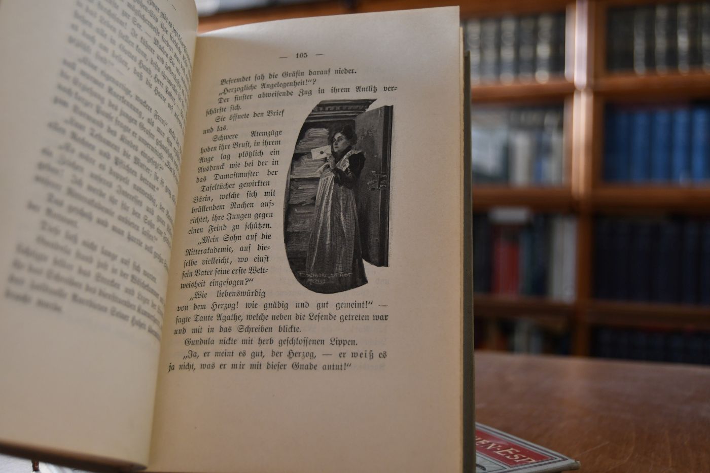 Die Bären von Hohen-Esp. Roman. Mit Illustrationen von F. Schwormstädt. 2 Bde. (komplett).
