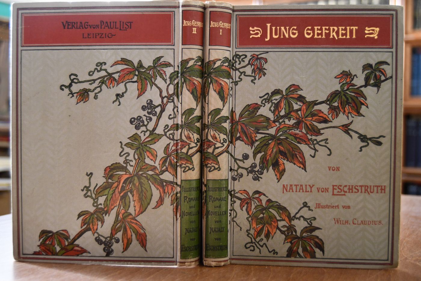 Die Bären von Hohen-Esp. Roman. Mit Illustrationen von F. Schwormstädt. 2 Bde. (komplett).