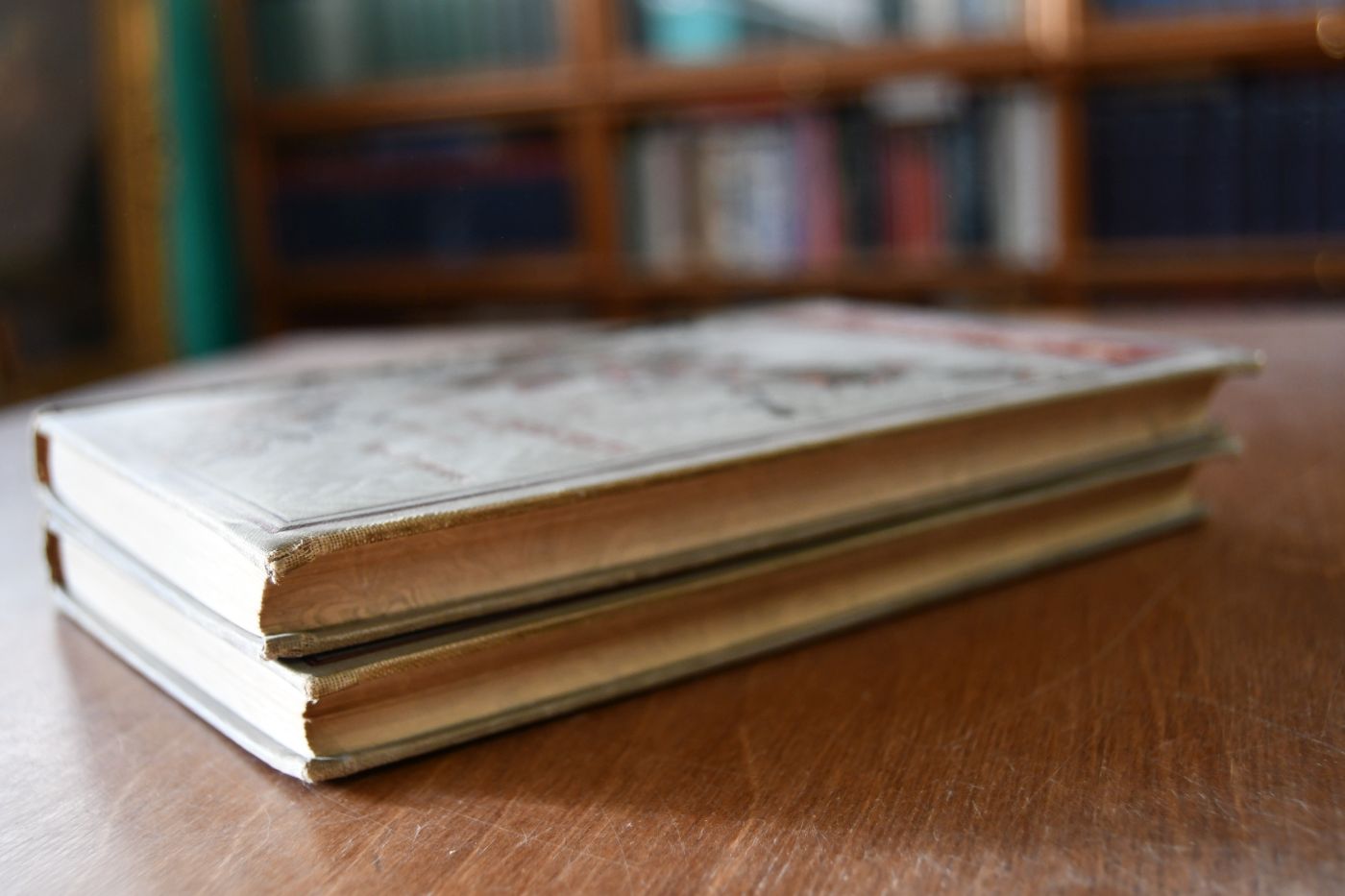 Die Bären von Hohen-Esp. Roman. Mit Illustrationen von F. Schwormstädt. 2 Bde. (komplett).