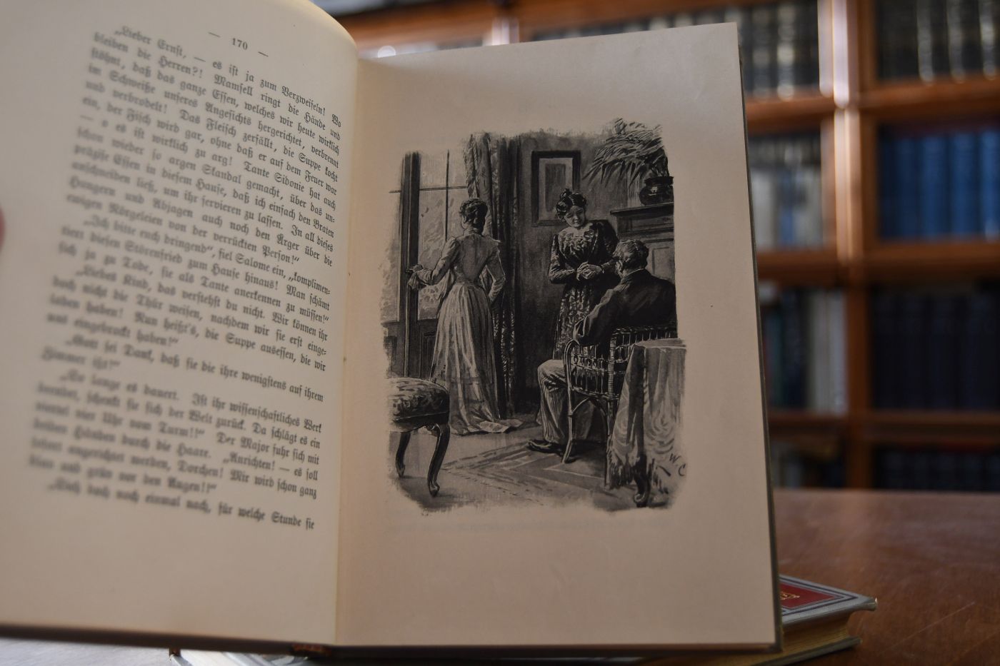 Die Bären von Hohen-Esp. Roman. Mit Illustrationen von F. Schwormstädt. 2 Bde. (komplett).