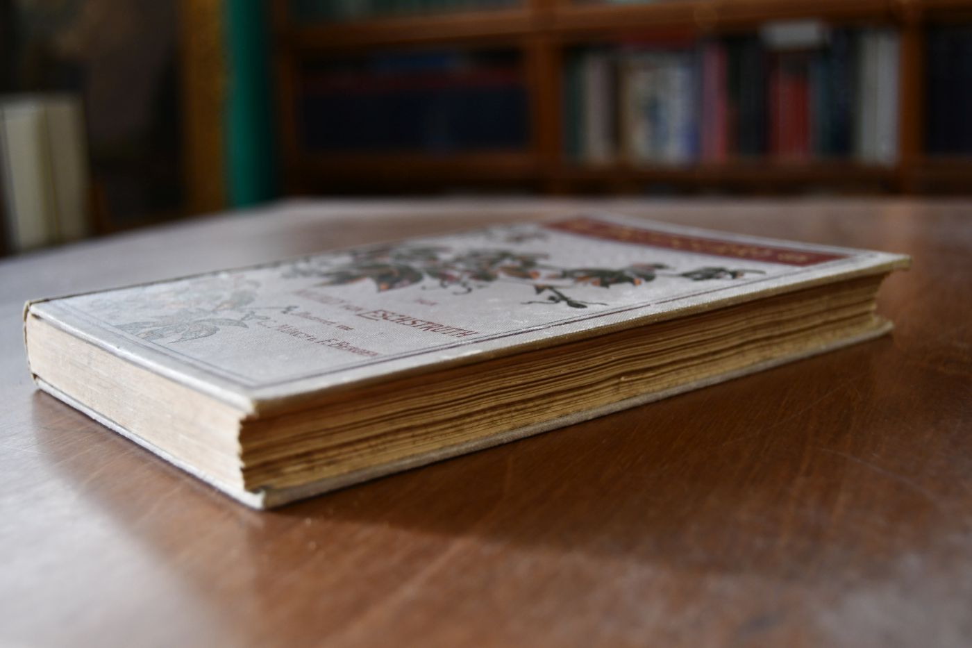 Potpourri. Novellen und Erzählungen. Mit Illustrationen von C. Münch und F. Bergen.